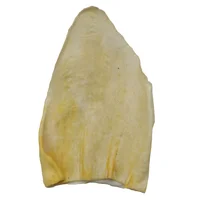 Oreja Individual Surtida