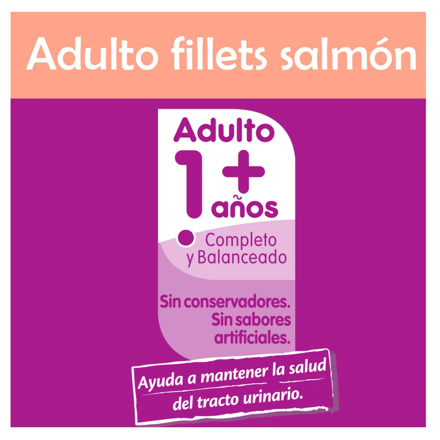 Comida Húmeda Para Gato Pouch Salmon Whiskas 85g