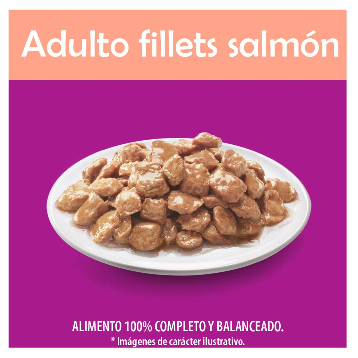 Comida Húmeda Para Gato Pouch Salmon Whiskas 85g 3