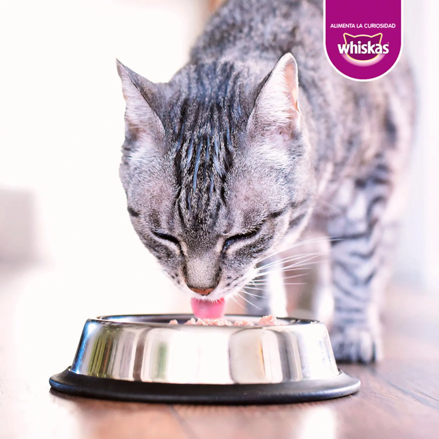 Comida Húmeda Para Gato Pouch Atún  Whiskas 85g 4