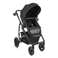 Coche Spring Gold Black