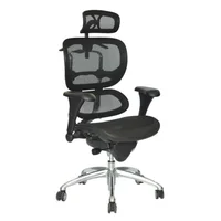 Silla Presidente Ergohuman Eco Almohada Negro