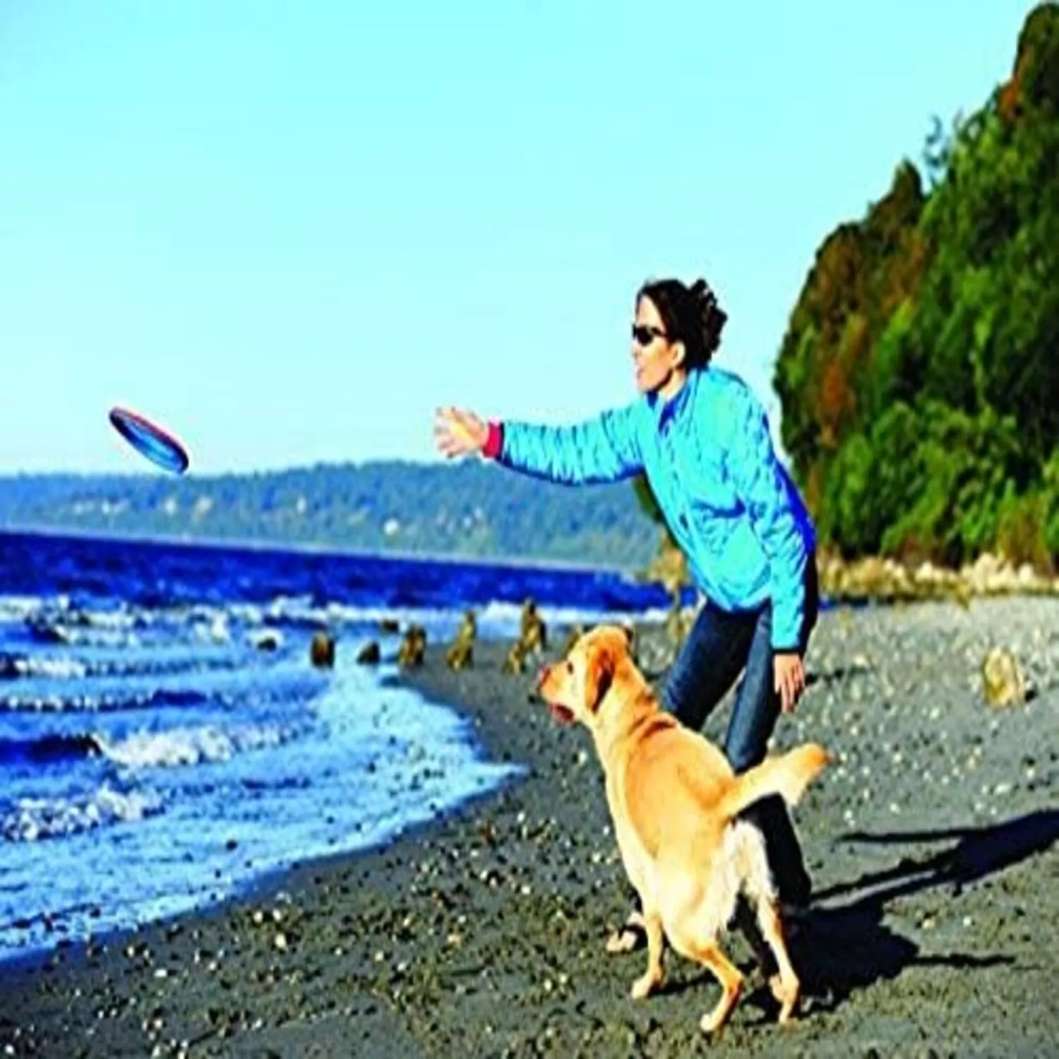 Frisbie Grande Para Perro Aspen Pet 4
