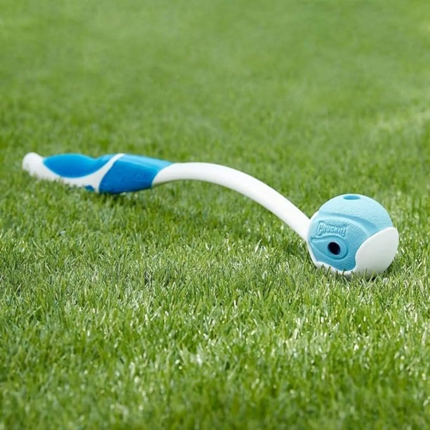 Pelota Para Perro  Con Ruido Mediana Para Perros Paquete De 2 3