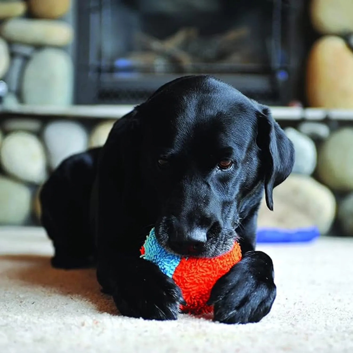 Pelota Para Perro  De 2 Colores Para Interiores Para Perros 4