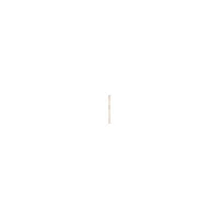 Mango De Repuesto Para Apisonadora De 114.30 Cm Madera