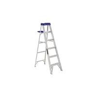Escalera de Aluminio Profesional con Plataforma para Herramientas