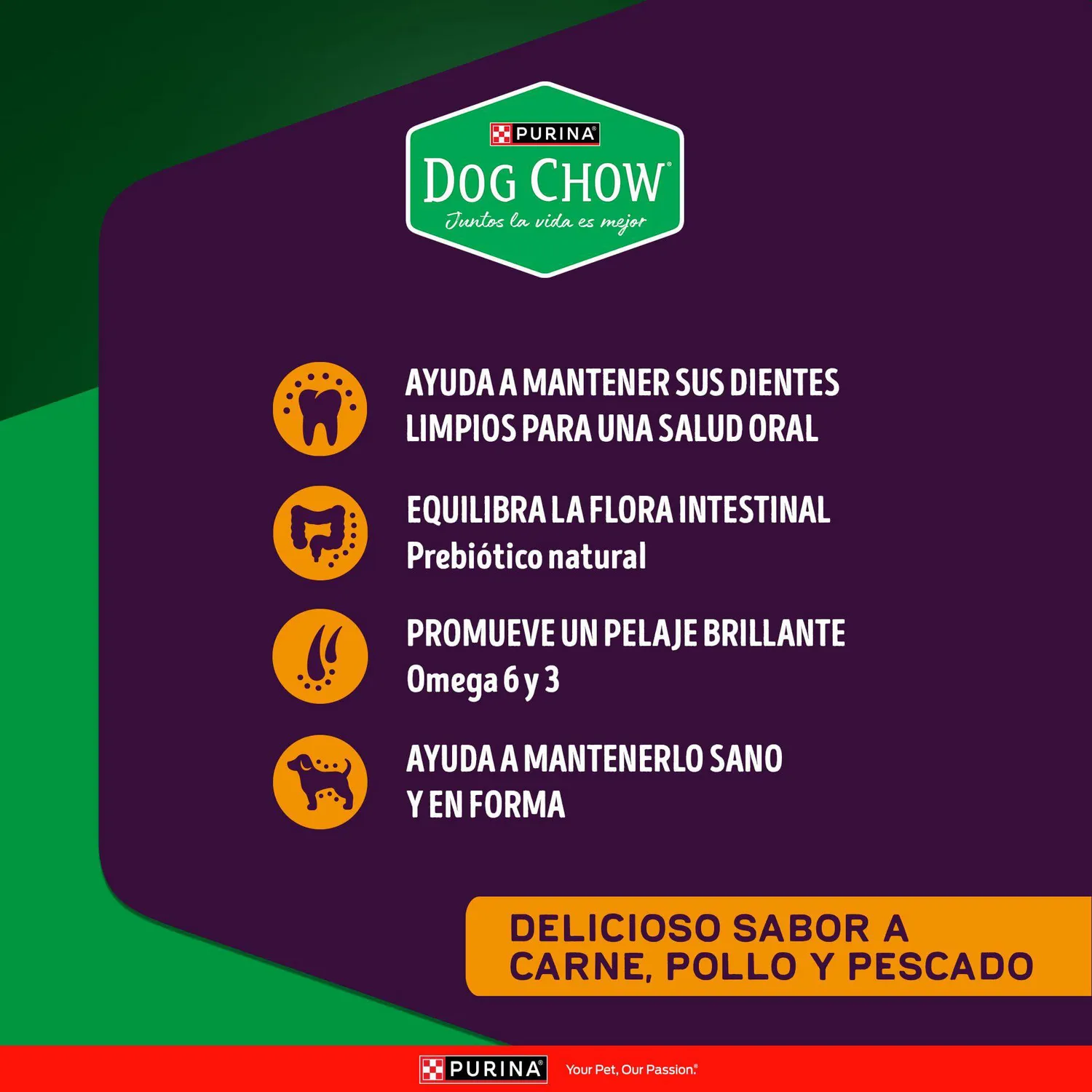 Comida Seca Para Perro Dog Chow Triple Proteína Adultos 22.7kg 5