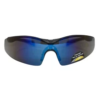 Gafa De Seguridad Polaris Azul Espejado Steelpro X12 Unidades