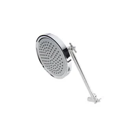 Cabezal de Ducha con Brazo Regulable Cromo 14,73 cm
