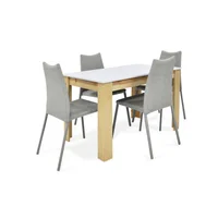 Juego Comedor 4 Puestos Fraga Palermo 77X120X76 Plata