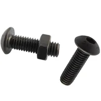 Tornillo Estufa Cilindrica M5X16 C/Tc 2 Unidades Fixser