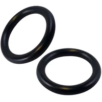 Jundta O-Ring M14X2.5 mm 2 Undidades