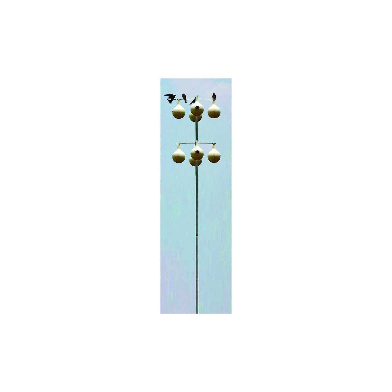 Poste para Comedero Golondrina Purpurea 4.57 m