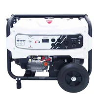 Planta Eléctrica Gasolina 8 Kva Ducati