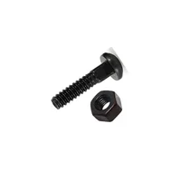 Tornillo Carriage Pavon 1/4X2 + Tuerca 1/4; 10 Und Fixser