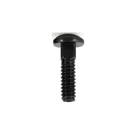 Tornillo Carriage Pavon 5/16X2-1/2; 100Und Fixser