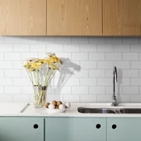 Pack Bricks Brillante 15 X 7.5 cm X 36 Unidades