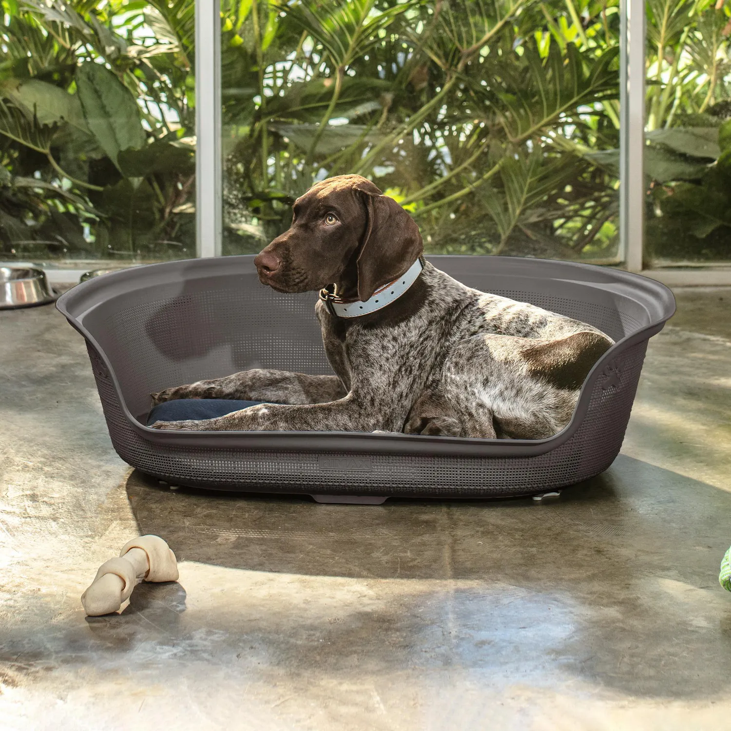 Cama Para Mascotas Ovalada 78x56x22cm Grande Mocca Rimax 3