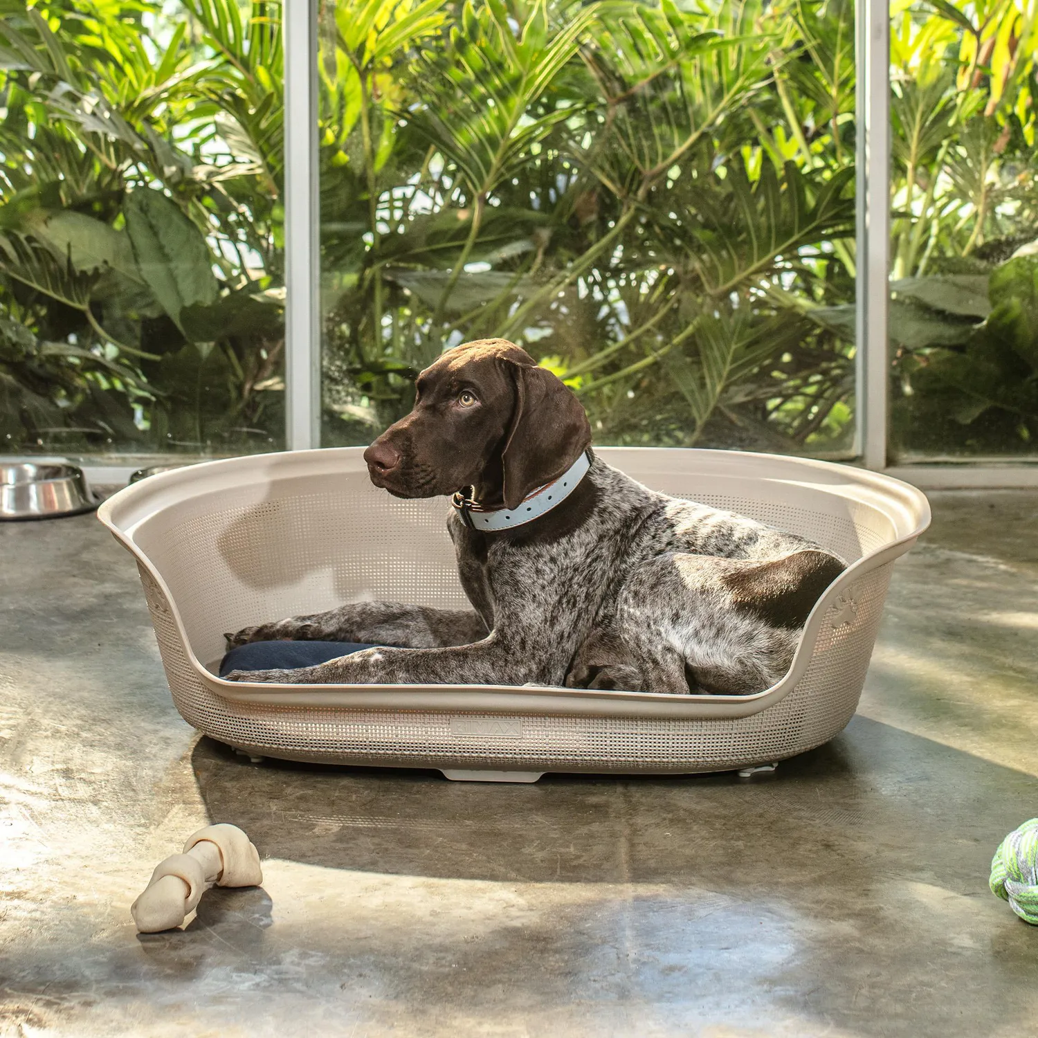 Cama Para Mascotas 78x56x22 Taupe Rimax 3