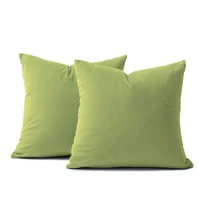 Cojín X2 Decorativo Cuadrado En Tela - Verde Pistacho