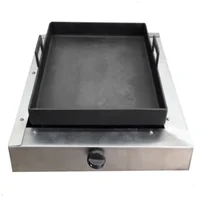 Plancha Portatil a Gas Natural