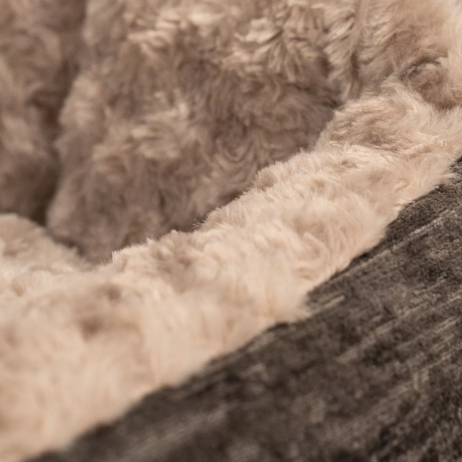 Cama Mascota París Gris para Perro pequeño 50 x 50 x 20 cm 5
