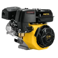Motor a Gasolina 6.1/2 Hp 196 cc Torque 12 Nm 3600 Rpm
