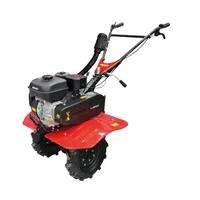 Motoazada Gasolina DTL9000 7 Hp Ancho de Trabajo 60-80-100 cm Profundidad 15-32 cm