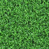 Pasto Grama Sintética Curly 2x2m Verde