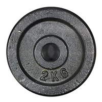 Disco Importado Estandar En Hierro De 2 Kg