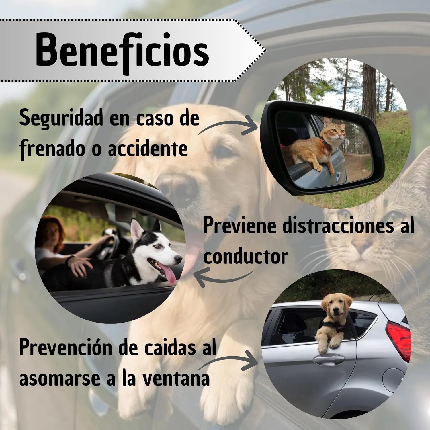 Correa Para Perro De Seguridad Rosado