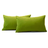 Kit X2 Funda para Cojín Almohada Tela 70x50 - Verde Pistacho