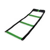 Escalera De Coordinación Pesada Verde 10 Pasos Core Sports