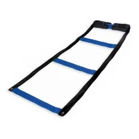 Escalera De Coordinación Sencilla Azul 7 Pasos Core Sports