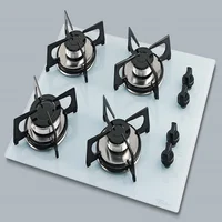 Estufa Empotrar 4q Gas Vidrio Hielo Marca Fischer