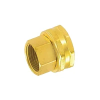 Conector de Manguera