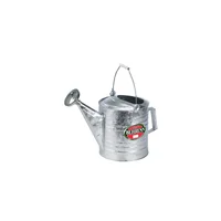 Regadera Metálica X 9.46 L