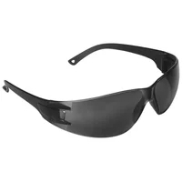 Gafas de Seguridad Gris Set X 100 Unidades