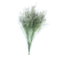 Follaje Decorativo Caspia Colores