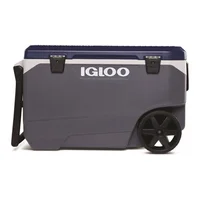 Cooler Igloo Maxcold Ideal Para Viajes Largos Y Conservacion Prolongada