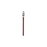Collar Para Perro Nylon Rojo 40.640cm x 1.905cm Boss