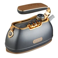 Plancha a Vapor Retro Is900 Titanium