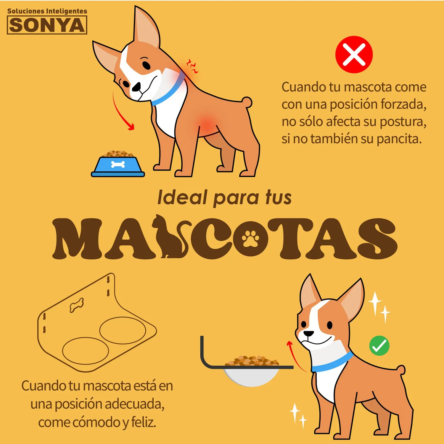Soporte De Comida Para Perro Sonya 3