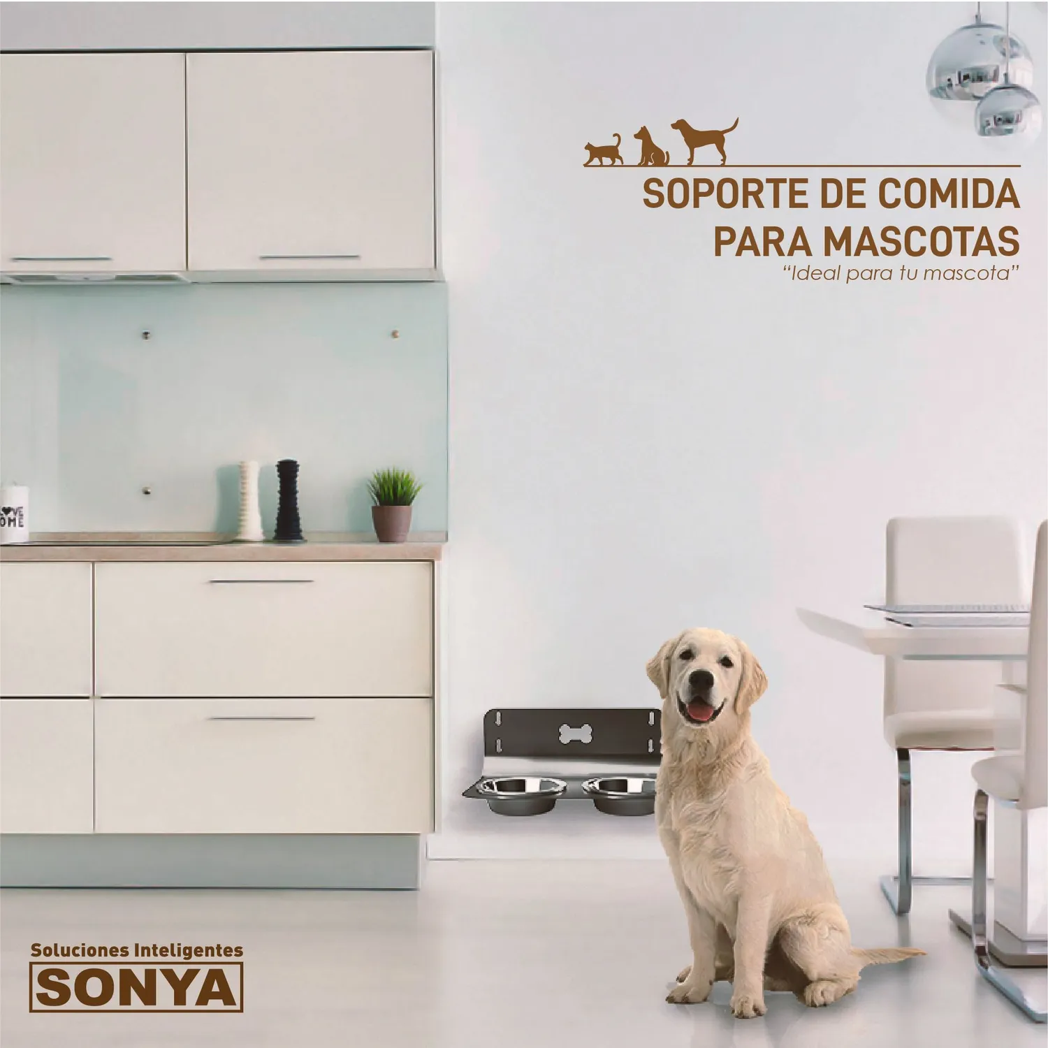 Soporte De Comida Para Perro Sonya 5