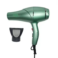 Secador Cabello Profesional 3000w Aguacate Re7985