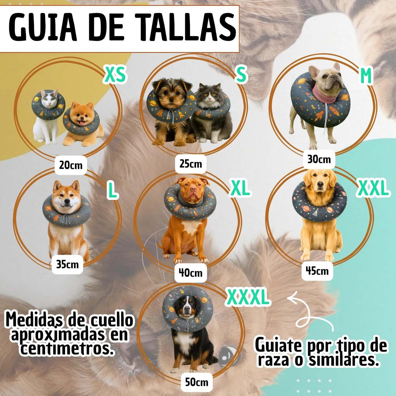 Collar Isabelino Raza Mediana Antifluido Tonos Claros Perduoutlet 3