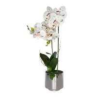 Planta Artificial Orquidea Premium 29x55 Cm Blanco Jardin