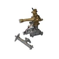 Kit De Conversión De Gas Propano (Glp) A Gas Natural (Gn) Para Calentador De Agua Tiro Natural De 6 L Bosch.