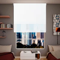 Cortina Enrollable 2En1 100X180Cm Screen Blanco